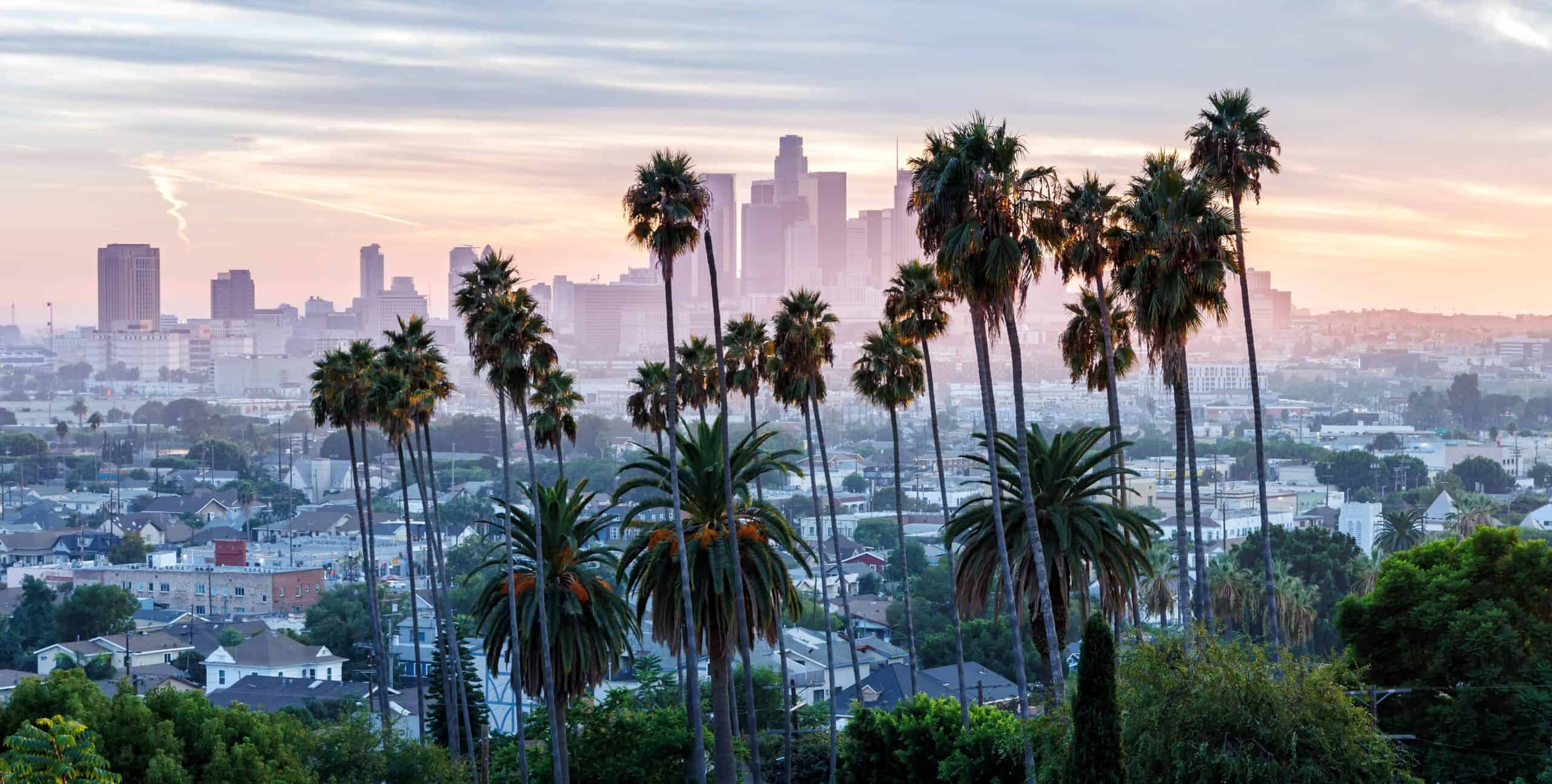 Los Angeles skyline and downtown with palm trees at sunset in Ela Park California United States